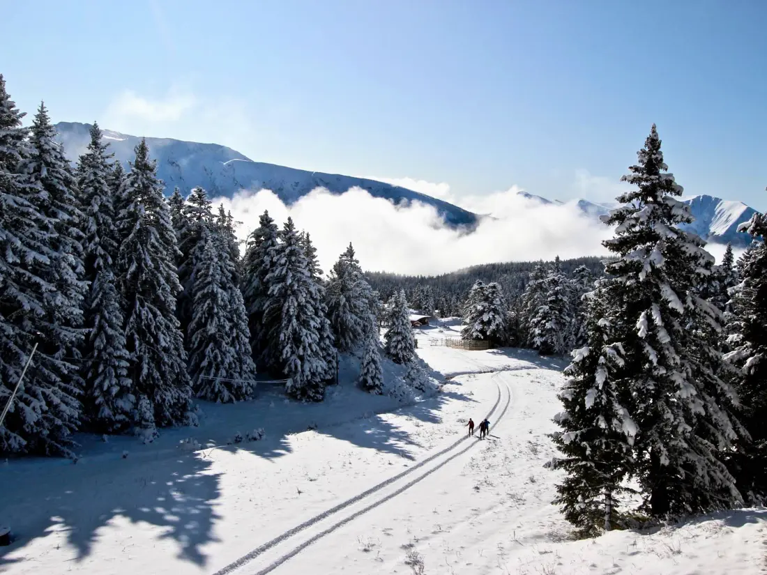 Location de Vacances Chamrousse 275