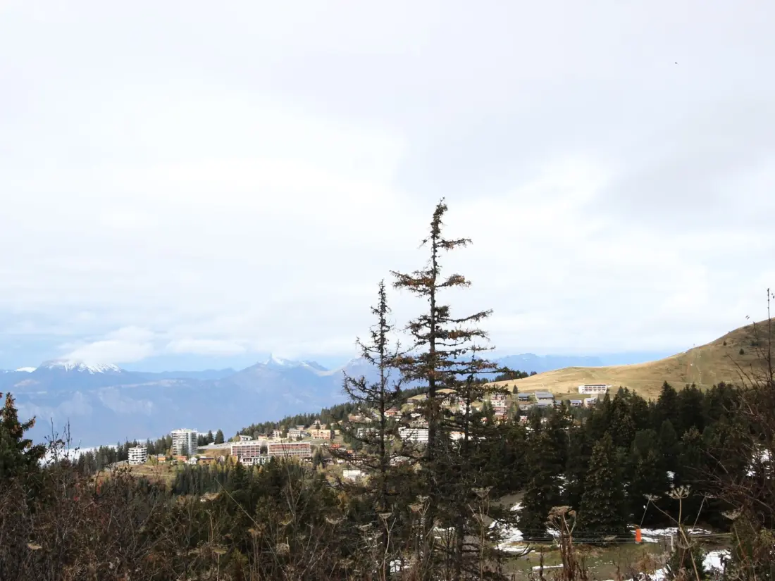 Location de Vacances Chamrousse 275