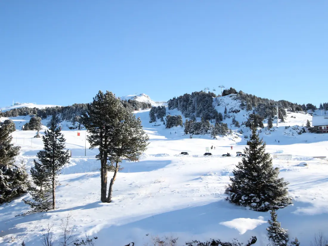 Location de Vacances Chamrousse 276