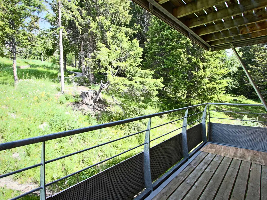 Location de Vacances Chamrousse 295