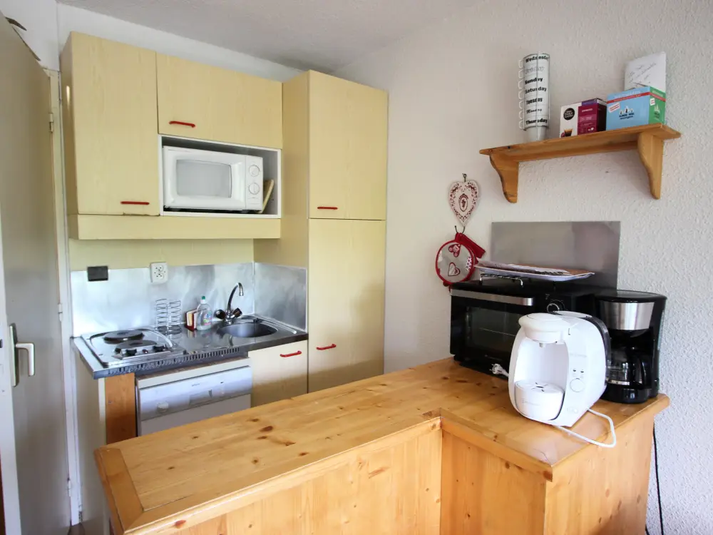 Location de Vacances Chamrousse 298