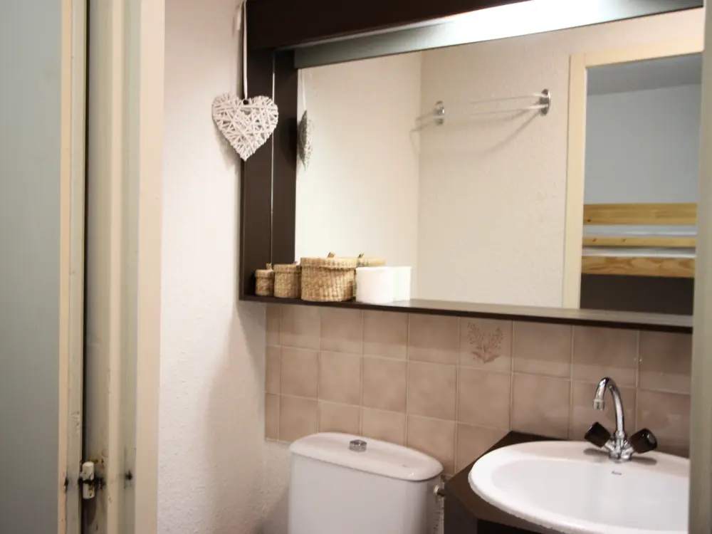 Location de Vacances Chamrousse 298