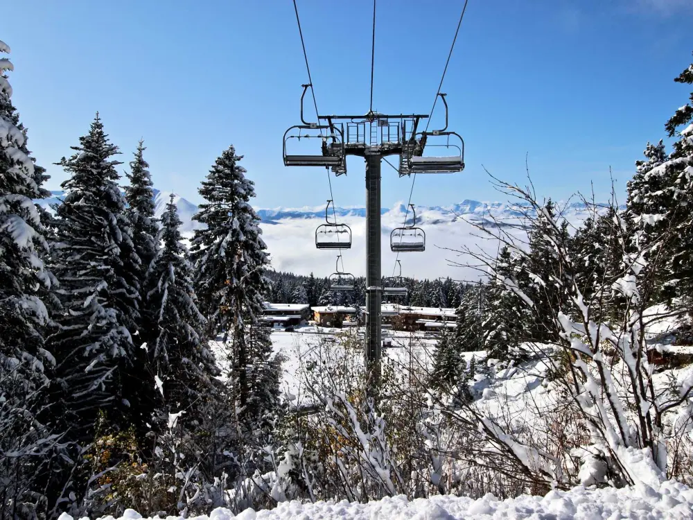 Location de Vacances Chamrousse 298