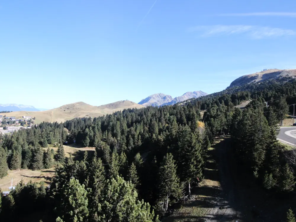 Location de Vacances Chamrousse 301