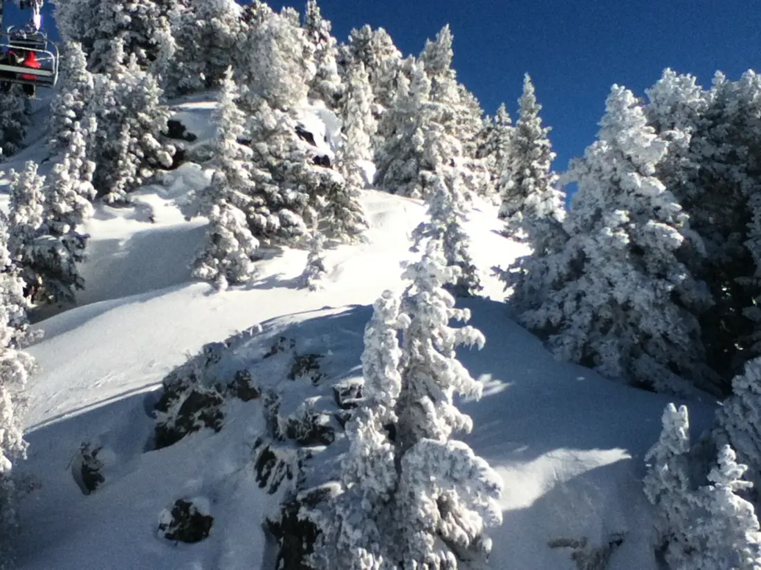 Location de Vacances Chamrousse 304