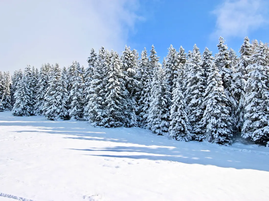 Location de Vacances Chamrousse 304