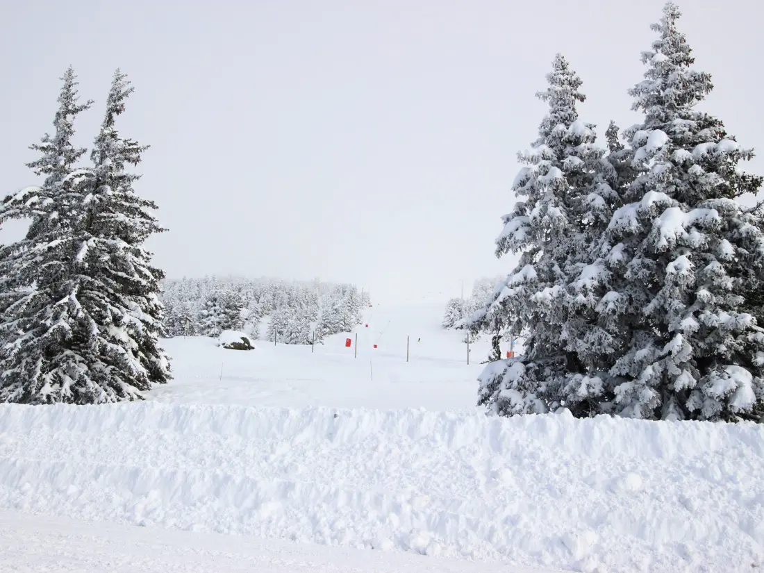 Location de Vacances Chamrousse 311