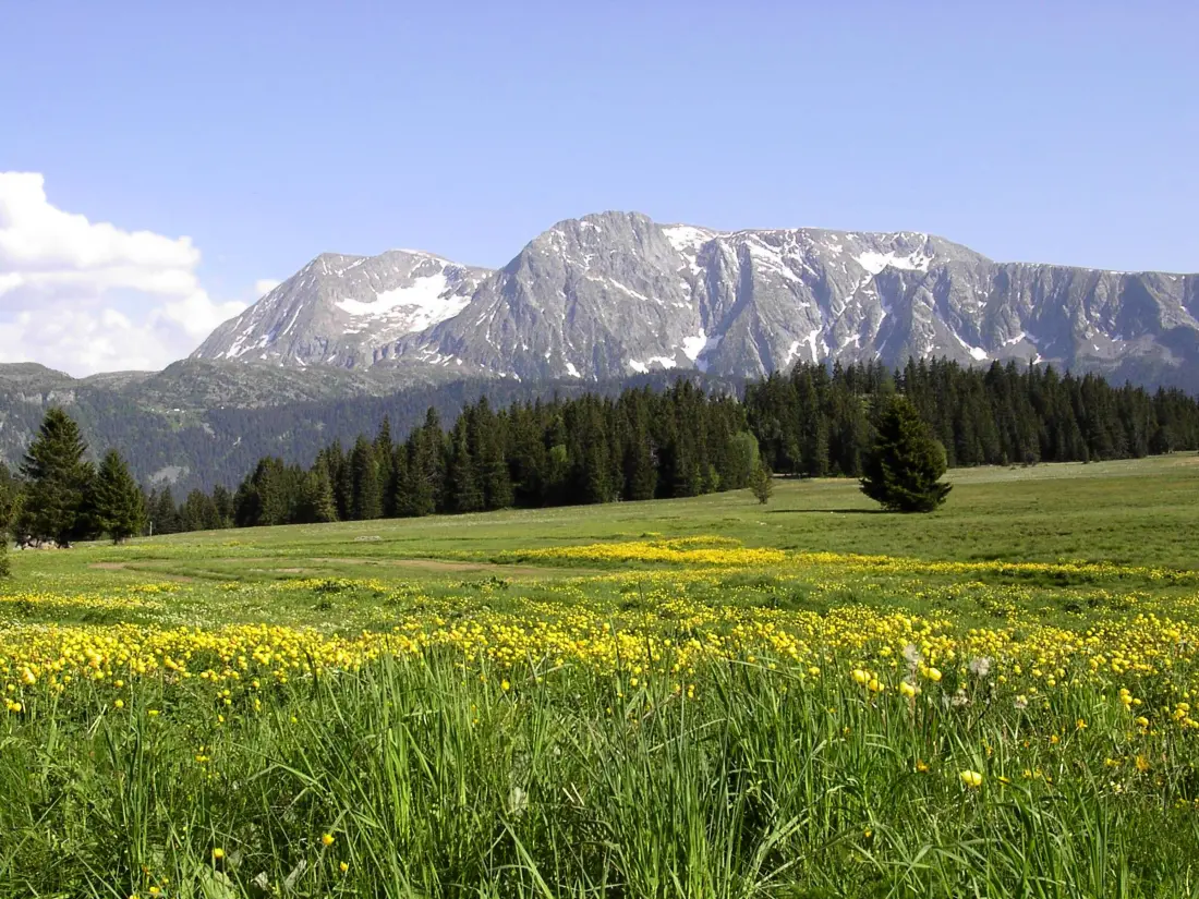Location de Vacances Chamrousse 322