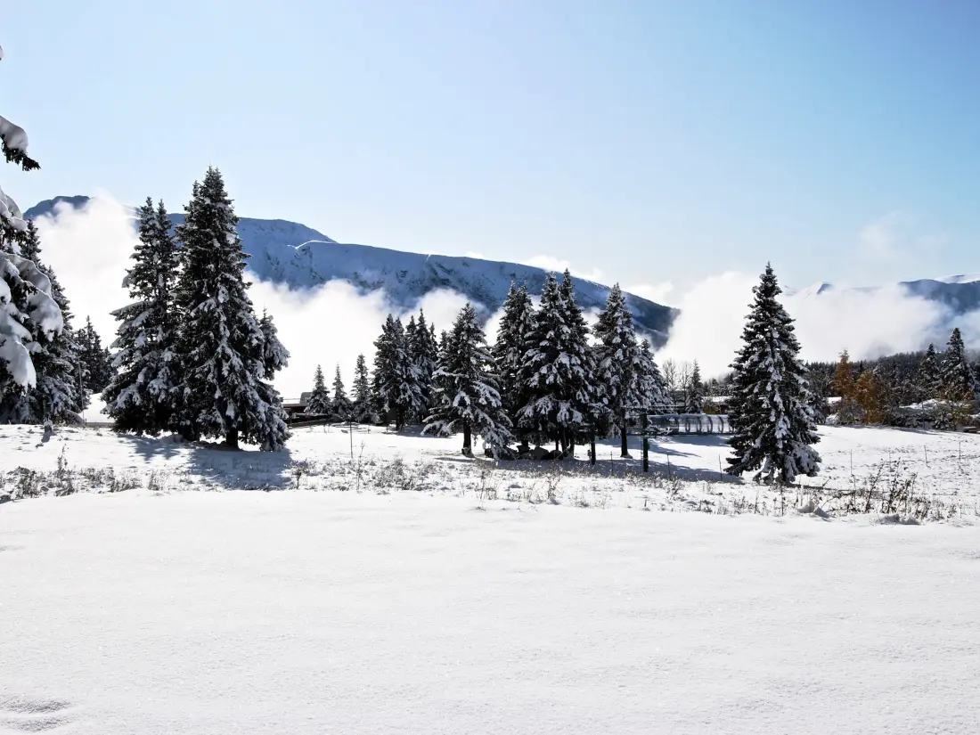 Location de Vacances Chamrousse 322