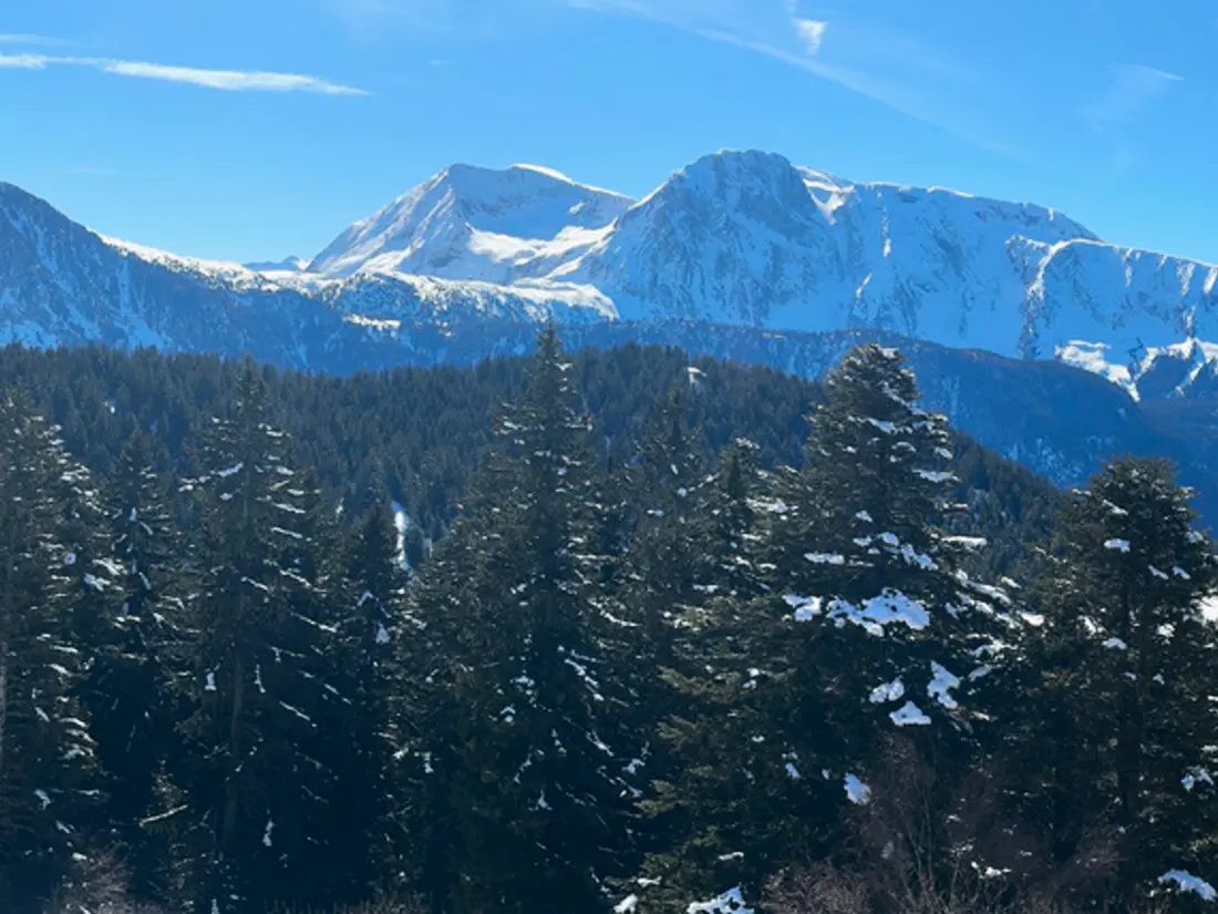 Location de Vacances Chamrousse 323