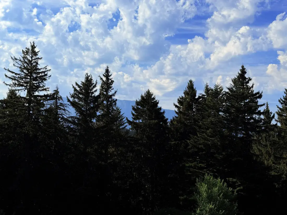 Location de Vacances Chamrousse 326