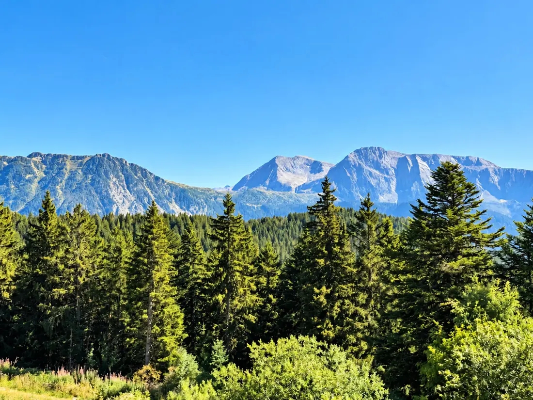 Location de Vacances Chamrousse 329