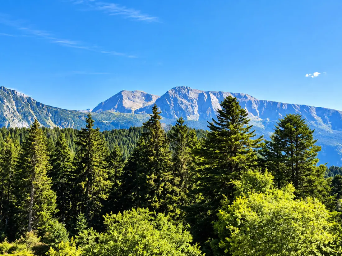 Location de Vacances Chamrousse 329