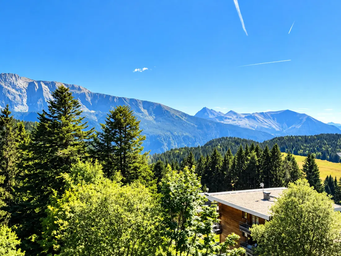 Location de Vacances Chamrousse 329