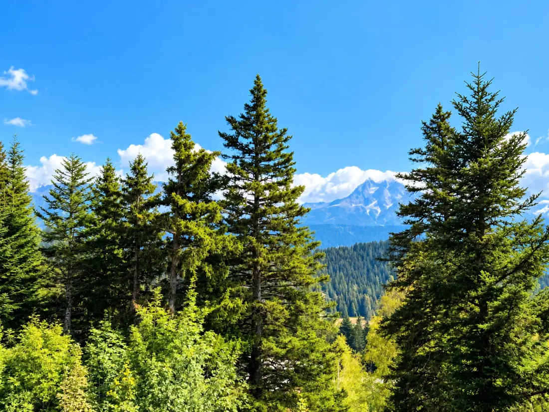 Location de Vacances Chamrousse 330