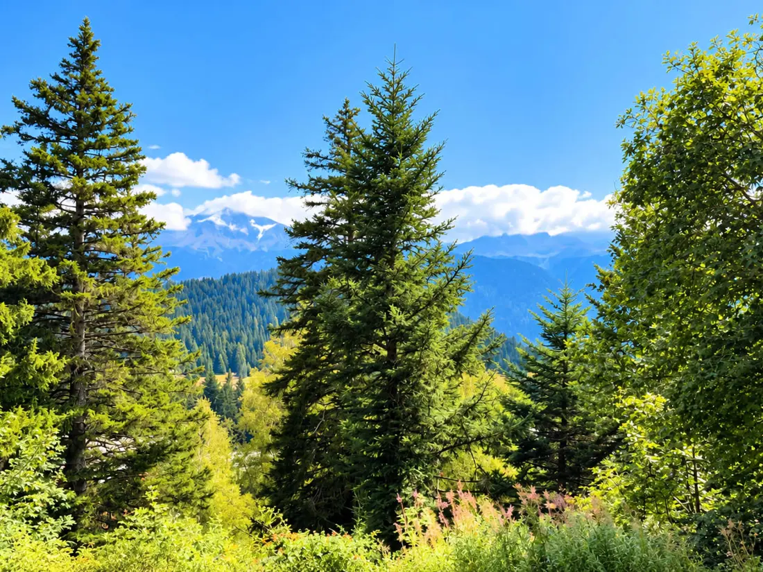 Location de Vacances Chamrousse 330