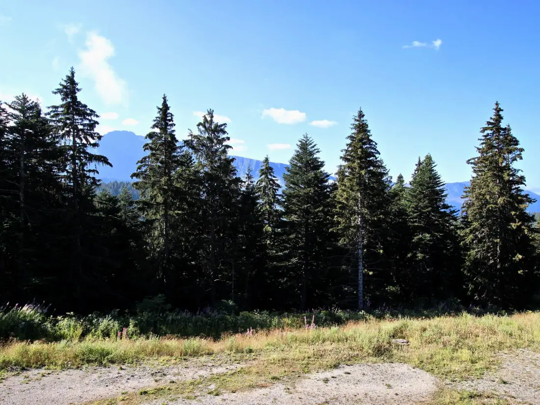 Location de Vacances Chamrousse 35