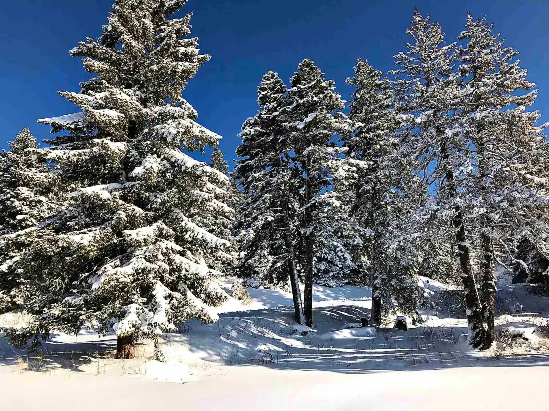 Location de Vacances Chamrousse 35