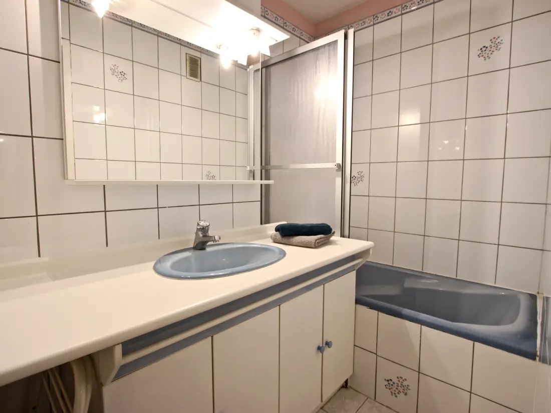 Location de Vacances Chamrousse 87