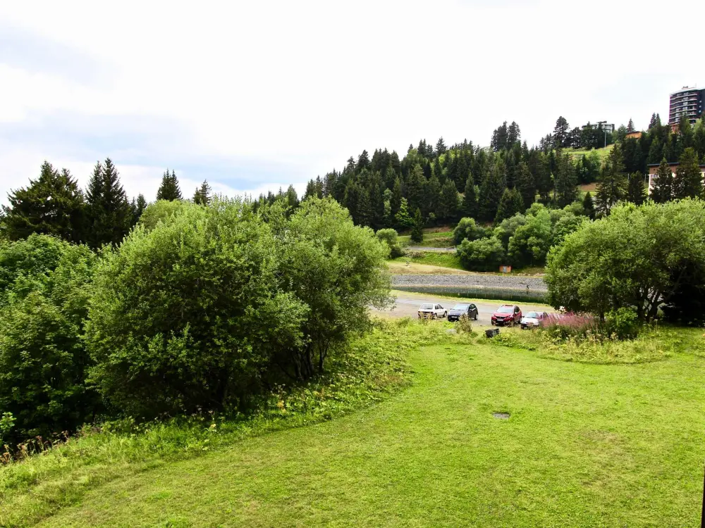 Location de Vacances Chamrousse 88