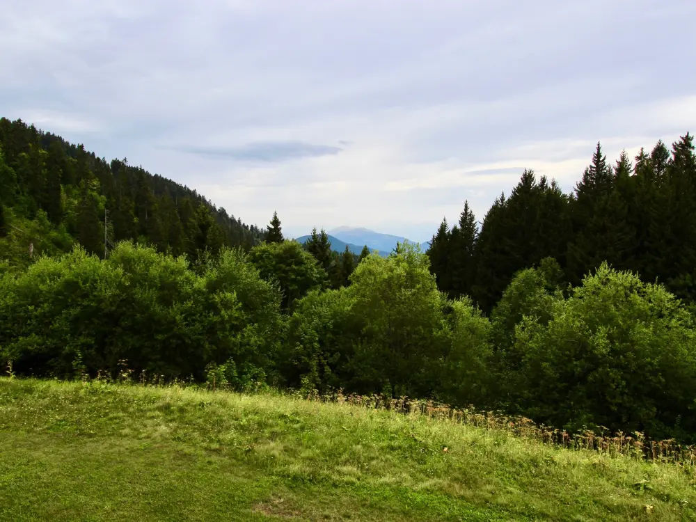 Location de Vacances Chamrousse 88