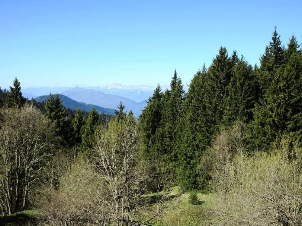 Location de Vacances Chamrousse 88