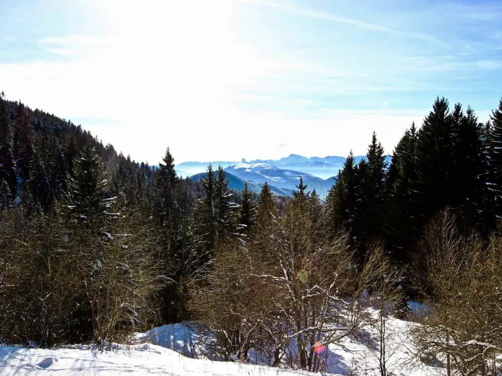 Location de Vacances Chamrousse 88