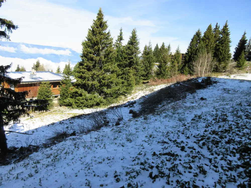 Location de Vacances Chamrousse 95