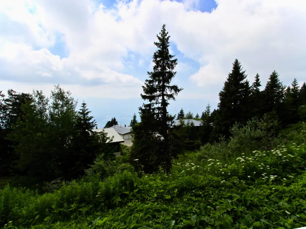 Location de Vacances Chamrousse 95