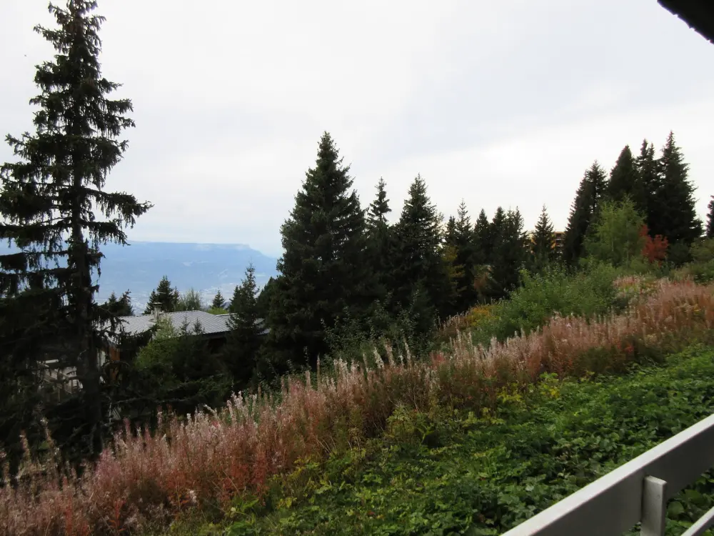 Location de Vacances Chamrousse 95