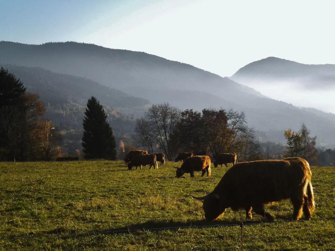 Résidence Les Villages du Bachat