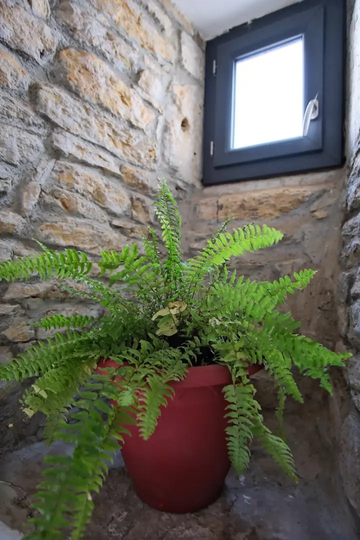 Gîte de France La lauze de marijoulet 2/4 personnes 3 épis