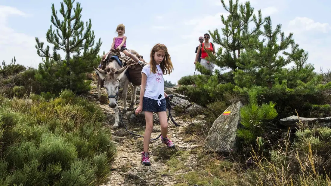 Camping Les Sous Bois du Lac 3 étoiles★★★