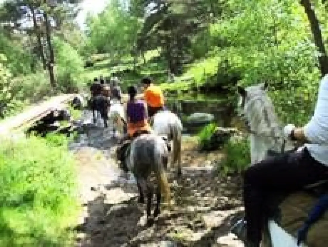 Camping Les Sous Bois du Lac 3 étoiles★★★