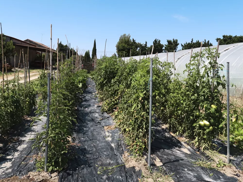 Maison de Vacances Châteaurenard