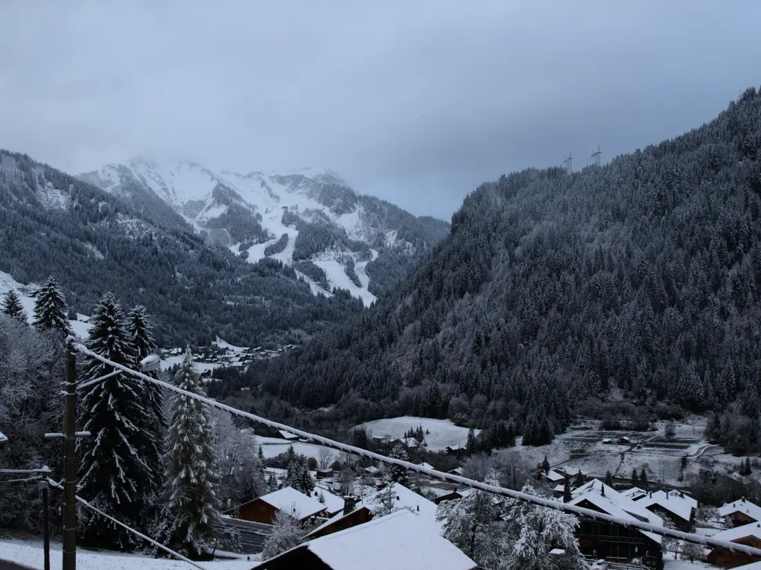Appartements à Châtel