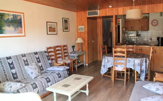 Appartements à Châtel