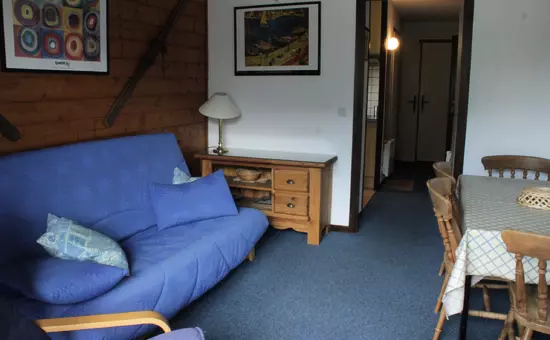 Appartements à Châtel