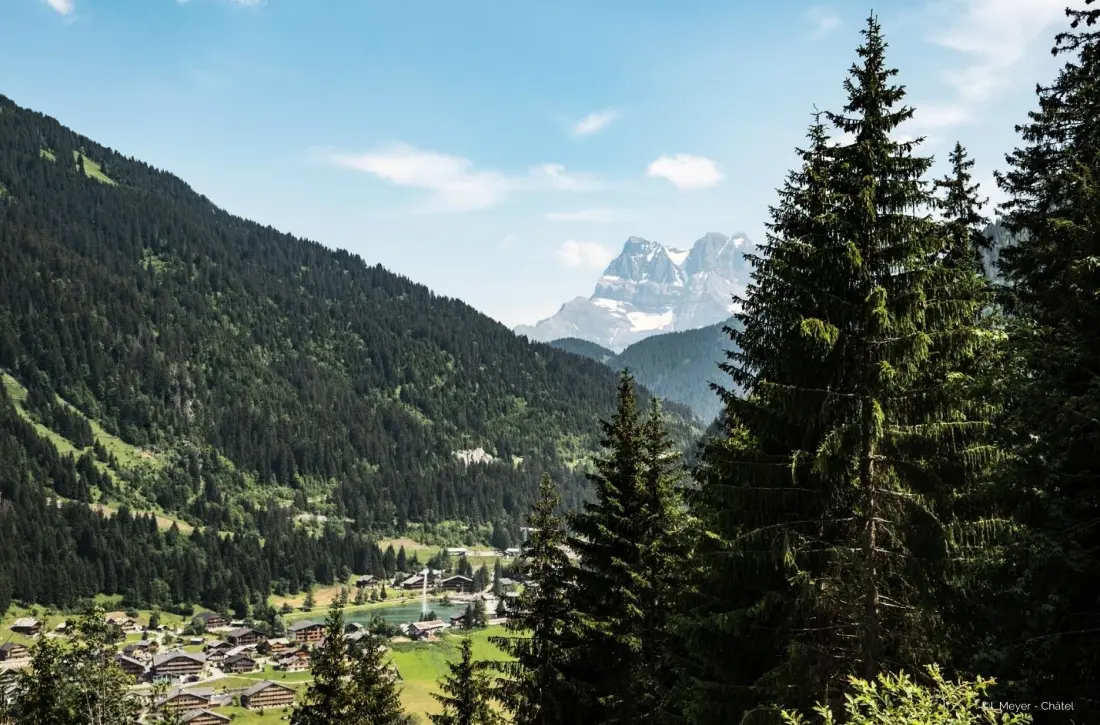 Appartements à Châtel