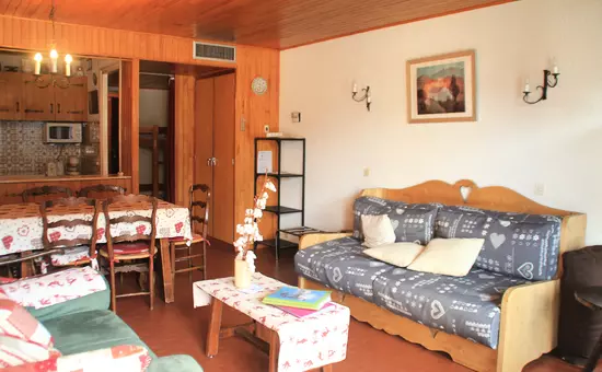 Appartements à Châtel