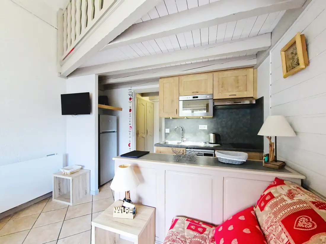 Appartements à Châtel