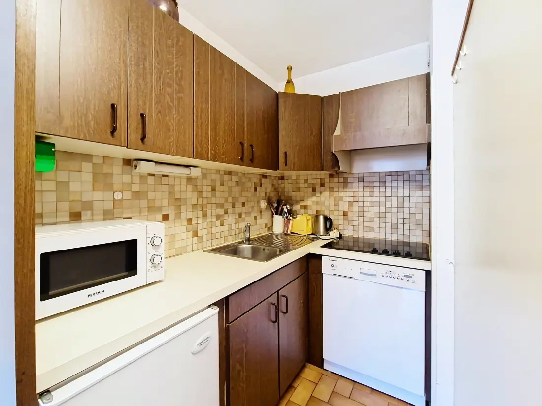 Appartements à Châtel