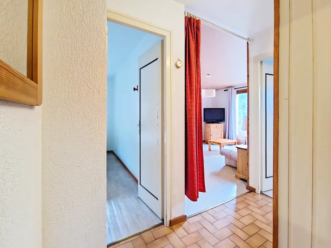 Appartements à Châtel
