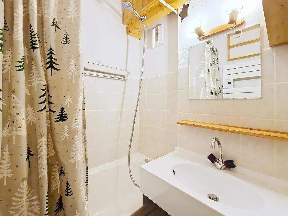 Appartements à Châtel