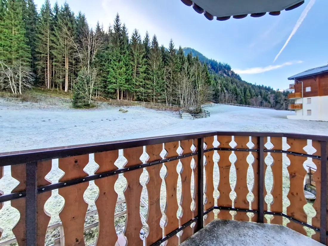 Appartements à Châtel