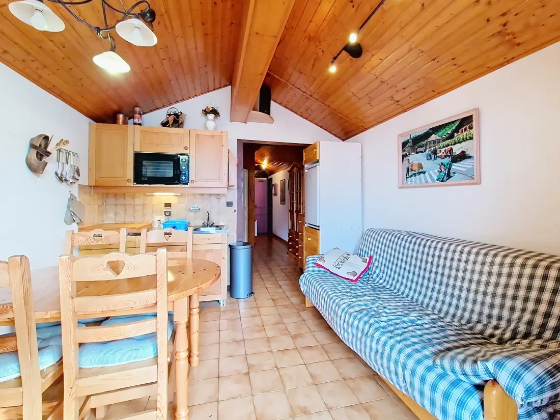 Appartements à Châtel