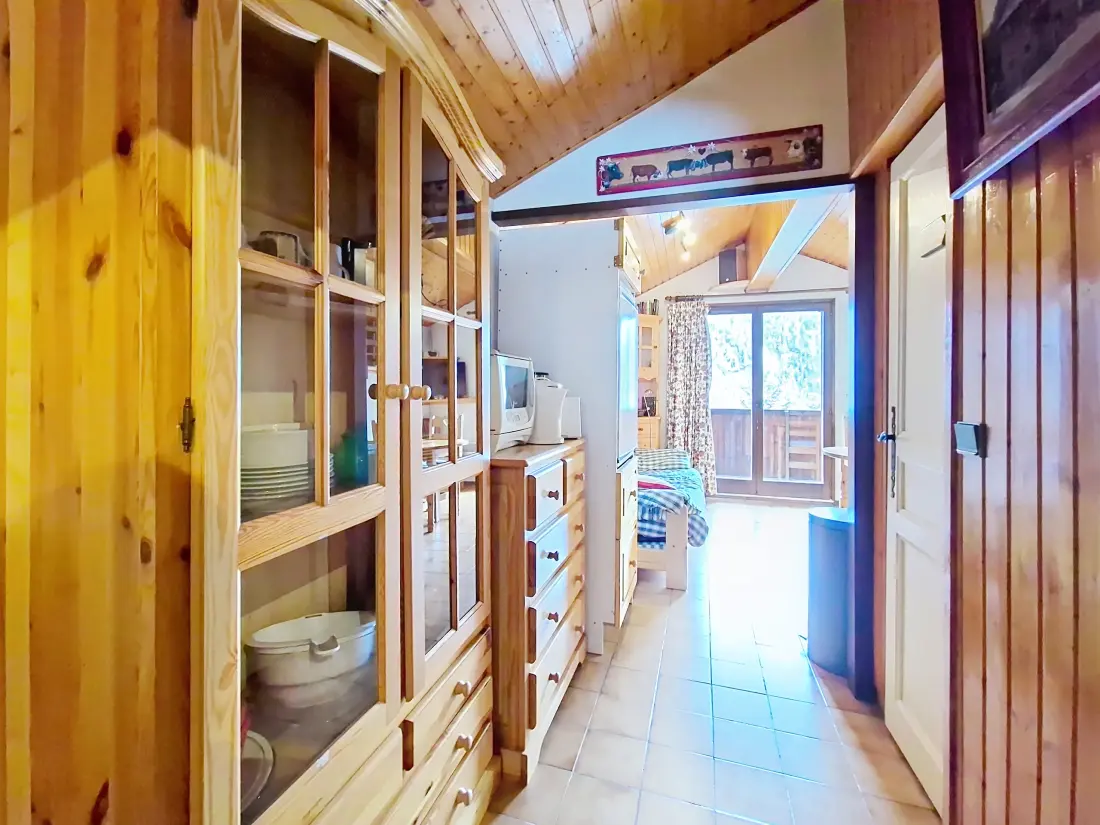 Appartements à Châtel