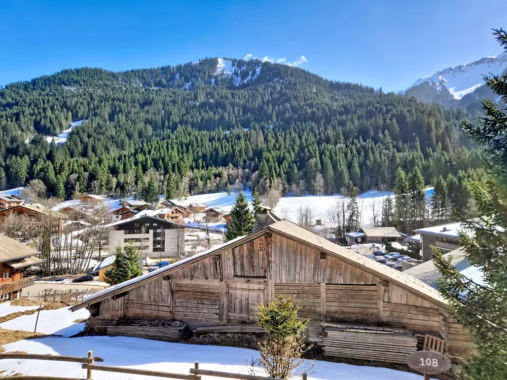 Appartements à Châtel