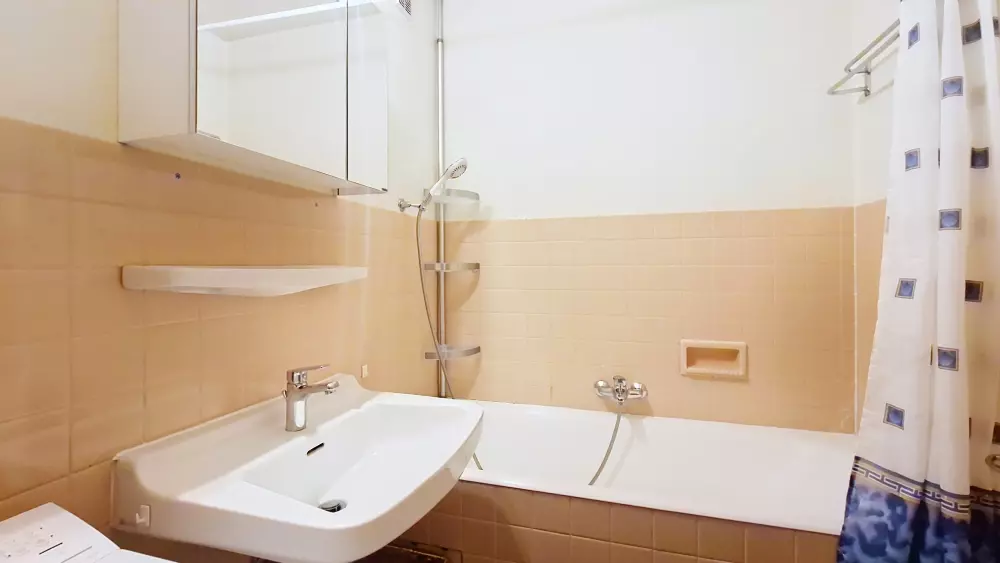 Appartements à Châtel