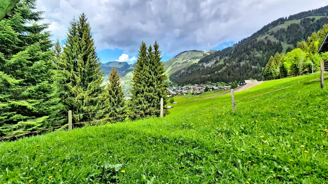 Appartements à Châtel